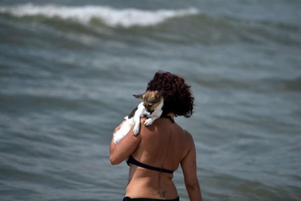 Genova, una donna si uccide in mare insieme al suo cagnolino