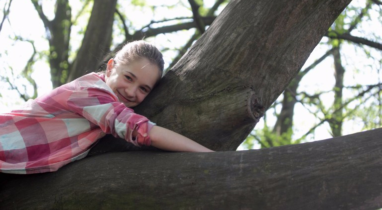 Abbracciare gli alberi, una terapia di benessere