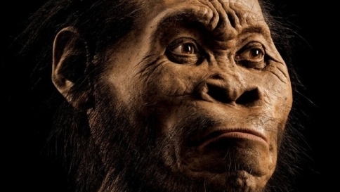I misteri dell'Homo Naledi: domande e nuovi scenari dopo il ritrovamento