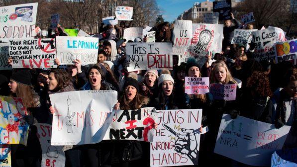Usa, Senato dell'Illinois approva legge restrittiva sulle armi