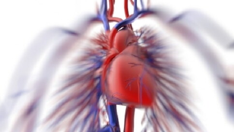 Avere uno scopo nella vita "salva" il cuore: rischio infarto ridotto del 19%