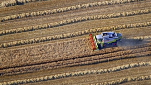 Agricoltura,Italia deve 51 mln a Ue