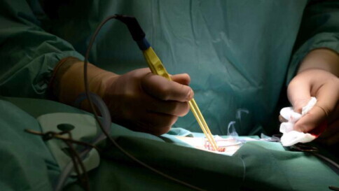 Taranto, prelevati 3 organi da un bimbo di 6 mesi: salvi altri 3 piccoli