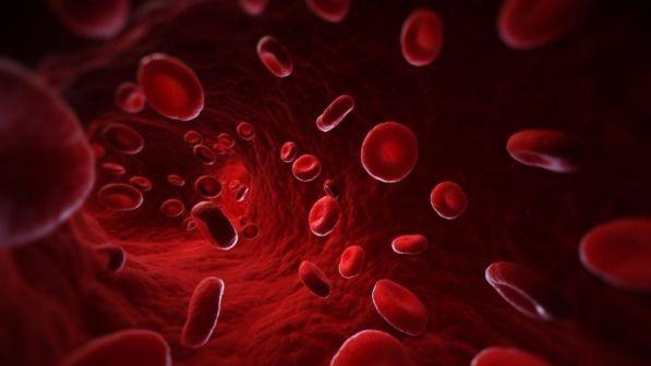 Staminali, sempre più vicine le "fabbriche" di sangue personalizzate