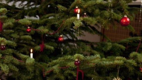 Rubano albero di Natale, CC pagano