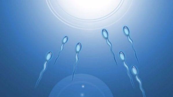 Contro l'infertilità arriva il "radar" per gli spermatozoi