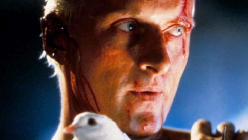 "Blade Runner", il futuro è qui: oggi sarebbe nato il replicante Roy Batty