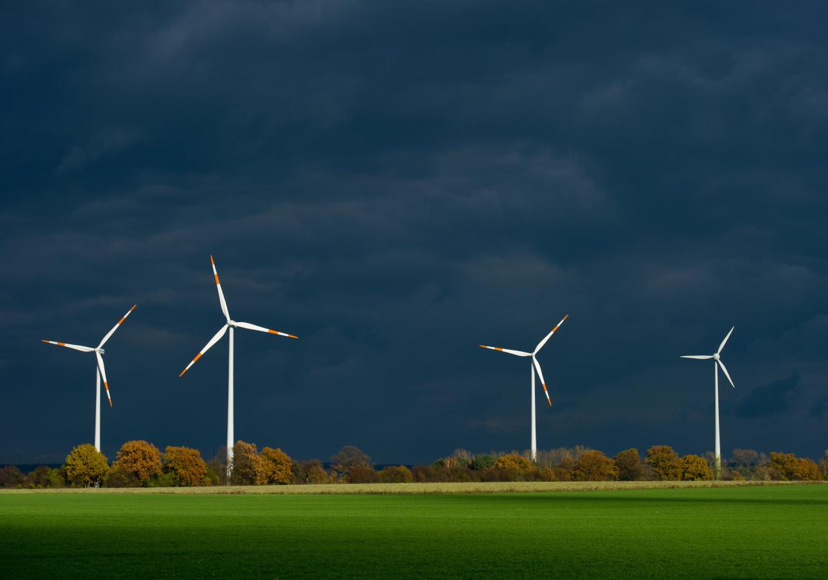 Il peso della green economy in Italia