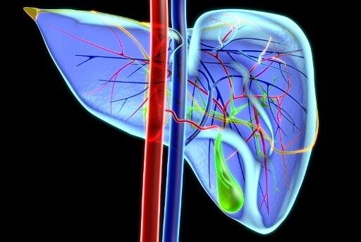 La dieta aproteica per ridurre il consumo di proteine
