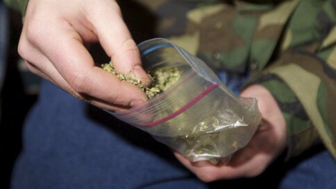 Colombia, ok a uso medico marijuana