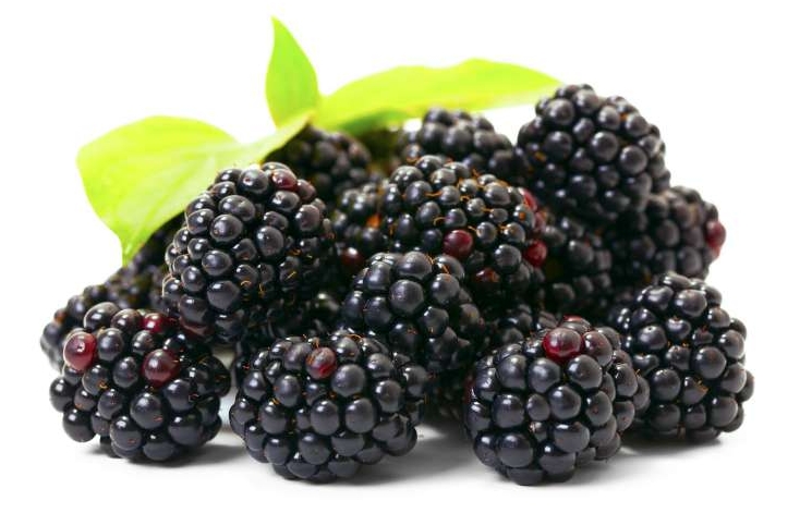 La spesa di settembre: frutta e verdura di stagione
