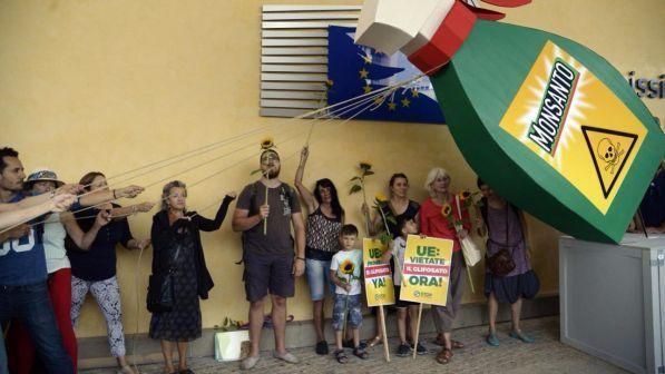 Glifosato, l'Italia verso il "no" all'Ue al rinnovo per 10 anni