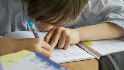 Eurostat: Italia maglia nera nell'Ue per spesa destinata a scuola e cultura