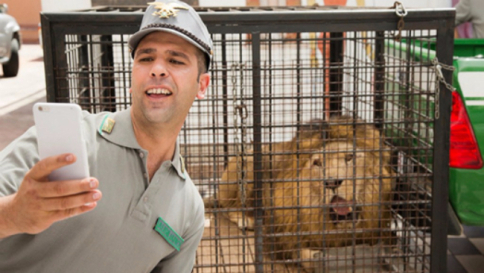 Checco Zalone, è ancora boom al botteghino: "Quo vado?" vicino ai 40 milioni