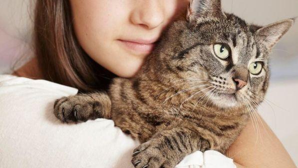 Firenze, gatto torna a casa dopo aver percorso 140 chilometri in due anni