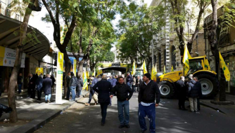 Olio dalla Tunisia, ok Ue aumento import a dazio zero: coltivatori italiani in piazza