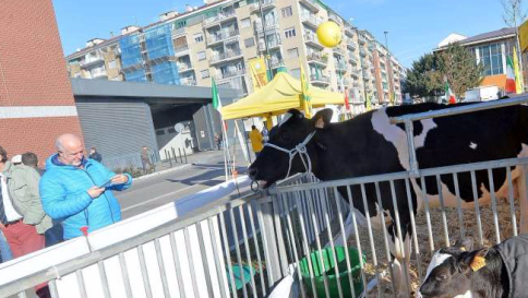 Prezzo latte, trovato l'accordo