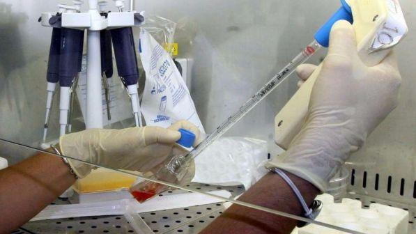 Pelle rigenerata salva il "bambino farfalla": una ricerca italiana identifica la fonte che rinnova le cellule
