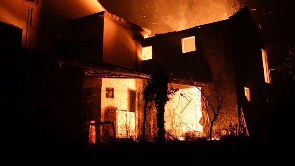 Rogo nei boschi in Portogallo, nuovo bilancio: 39 morti e 59 feriti