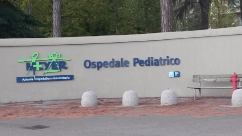 Firenze, bimba di 14 mesi grave: ha ingerito cocaina e ansiolitici