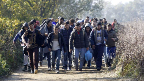 Milano, l'area Expo come campo profughi temporaneo: è polemica
