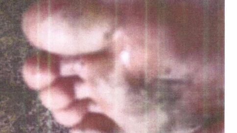 Foto torture a detenuti, Pentagono le pubblica dopo aver perso battaglia legale