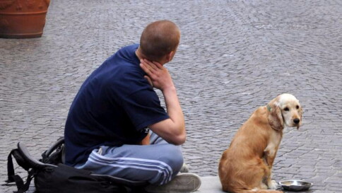 Istat: diminuisce il numero delle persone in grave povertà