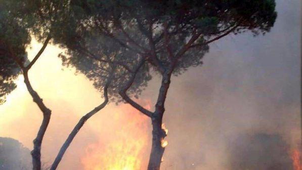 Castel Fusano, l'ipotesi del racket della prostituzione dietro gli incendi