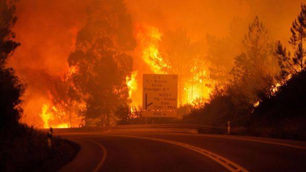 Incendio in Portogallo: i morti salgono a 57, polizia esclude dolo