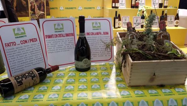 Vinitaly, Coldiretti: record ricavi vino in Italia, 10,6 mld