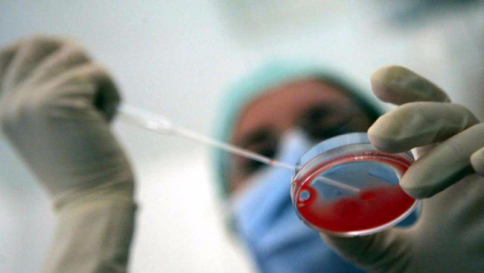 Gran Bretagna: ok embrioni modificati Si studiano sviluppo e aborti spontanei