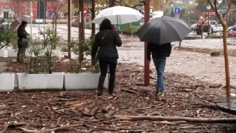 Maltempo da Nord a Sud, cinque morti Vento sradica albero, grave un bambino