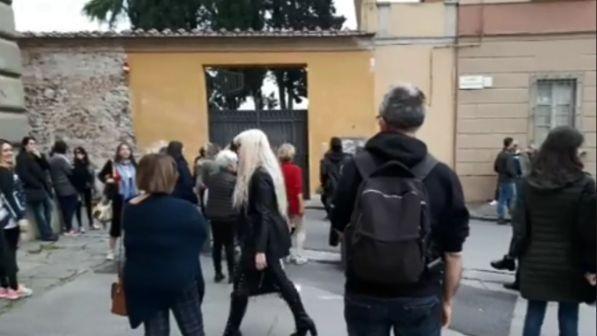 Pisa, animalisti contro il vescovo: "Salviamo i gatti che ha rinchiuso"