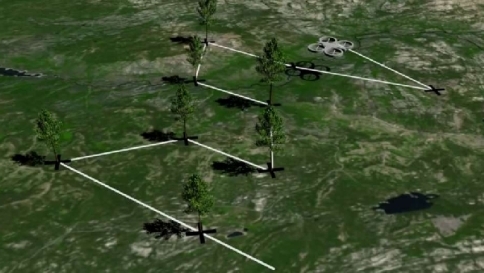 Piantare un miliardo di alberi: la "missione" dei droni contro la deforestazione