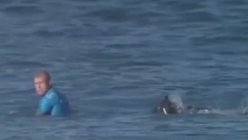 Sudafrica, squalo attacca surfista in gara