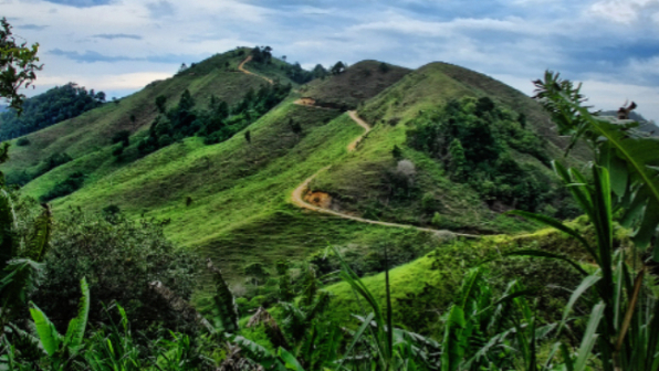 Tour del caffè per gustare il Centroamerica