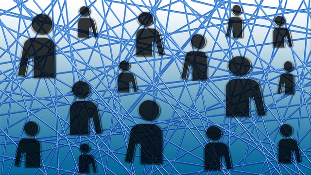 Le notizie virali del 2015: quelle che ci hanno fatto ridere e quelle che commuovono