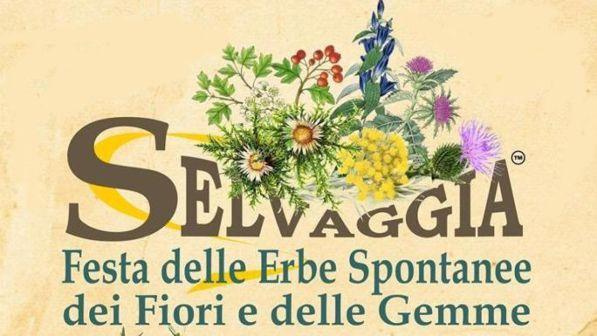 Selvaggia: la festa delle erbe di Toscana