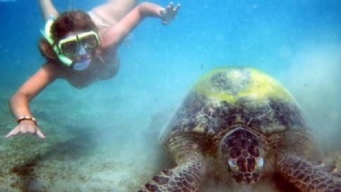 Donnavventura, Berenice: i fondali più esclusivi del Mar Rosso