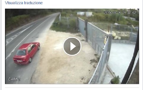 Spagna, abbandonano cane dopo averlo "lanciato" in un cortile