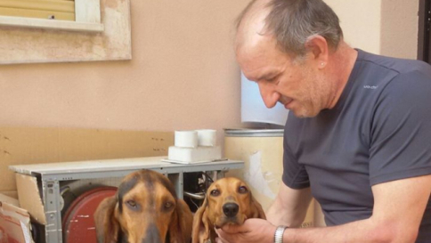 donne single brescia