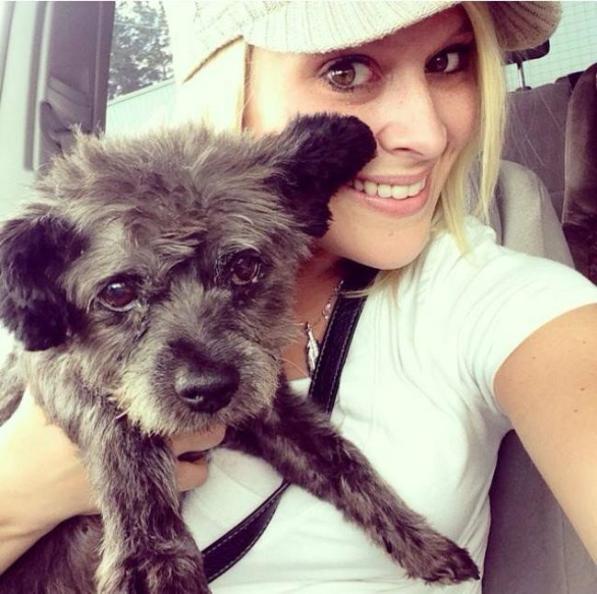 Usa, Chester muore felice. Il cane ha completato la lista dei desideri