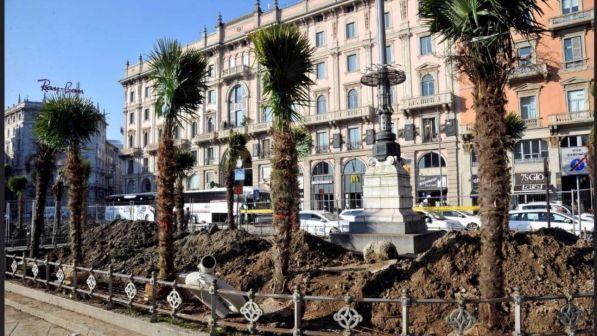 Milano, le palme della discordia arrivano dal lago di Como