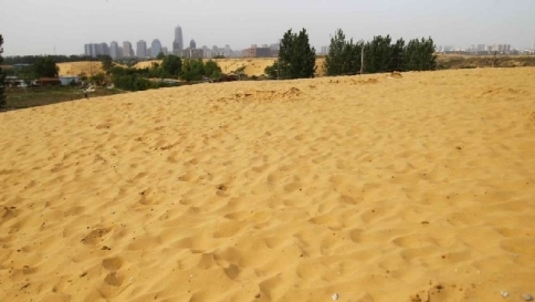 Cnr, allarme ambientale: "Un quinto d'Italia è a rischio desertificazione"