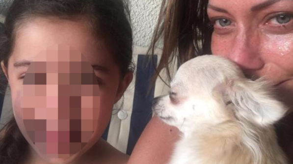Karina Cascella: "Mi hanno rapito in cane, ho vissuto ore di terrore"