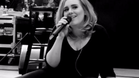 Usa 2016, Adele contro Trump