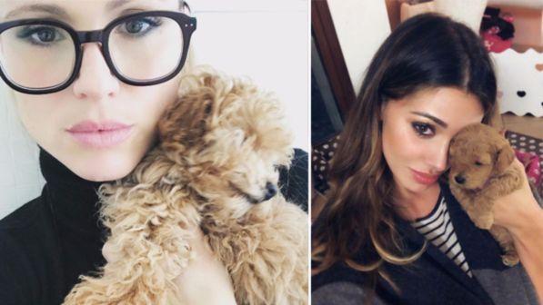 Belen allarga la famiglia: c'è anche il cucciolo della Hunziker