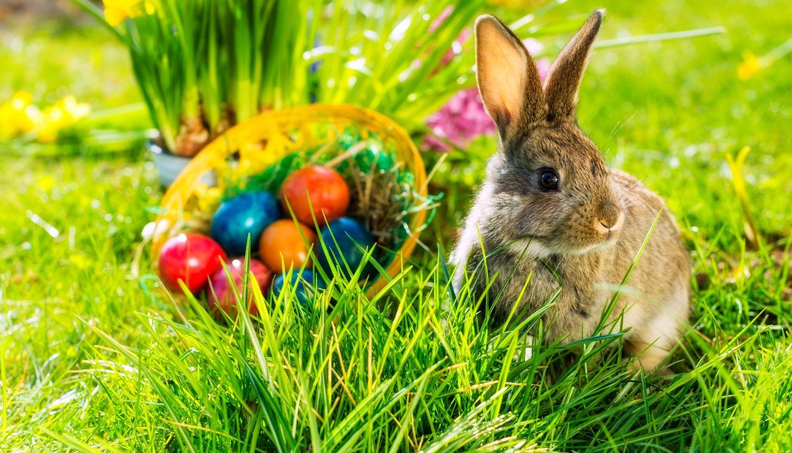 Risultati immagini per pasqua
