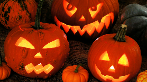 Le zucche di Halloween fanno paura all'ambiente: scarti convertiti in energia