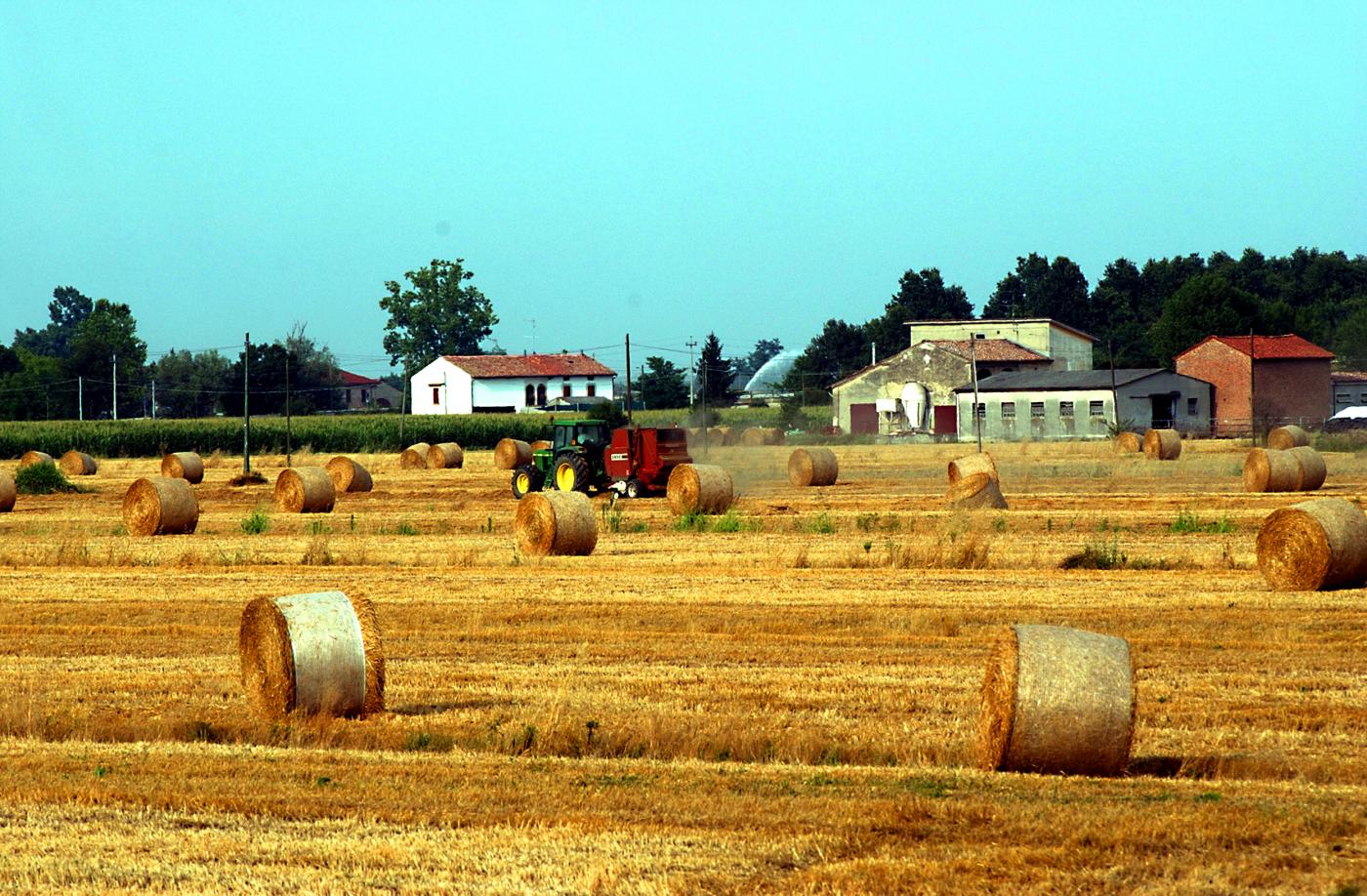 L’agroalimentare trainerà l’export italiano